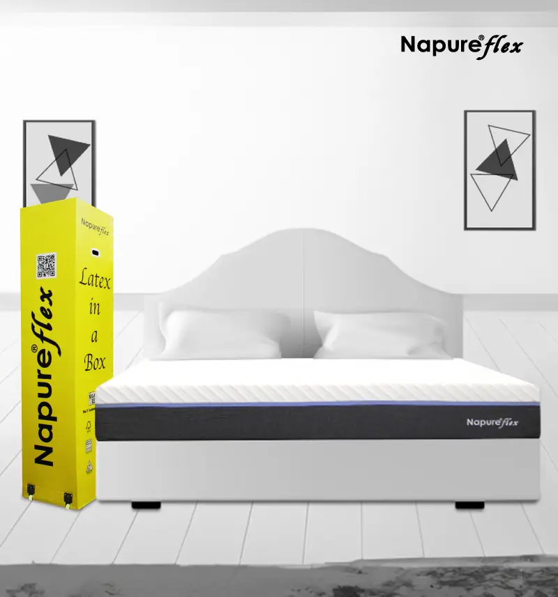 Napureflex in a Box - Image 3