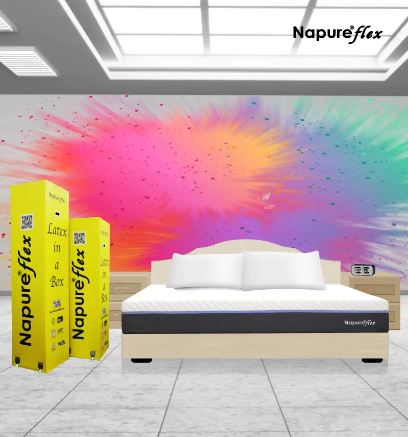 Napureflex in a Box - Image 4