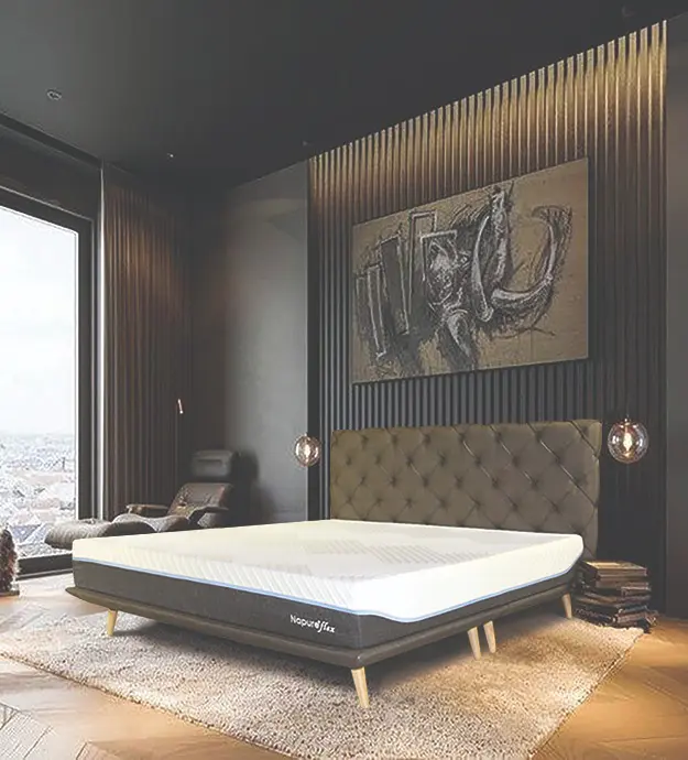 napureflex in a room