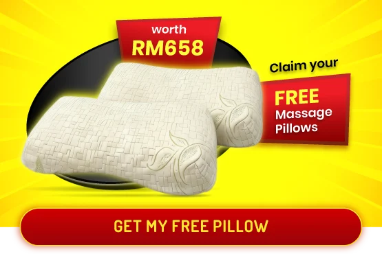 free product RM658 - pillows